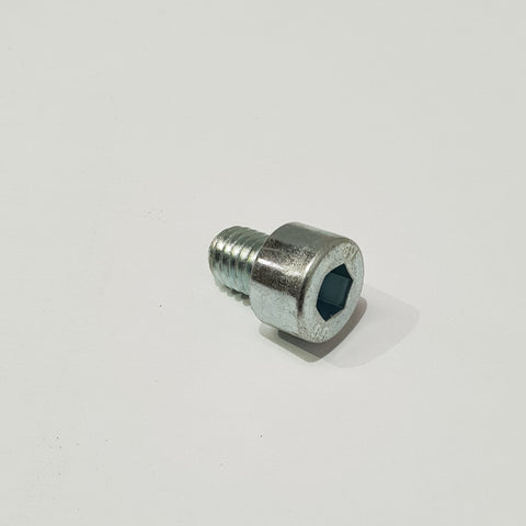 Hex. socket head cap screw M8x10,VZ