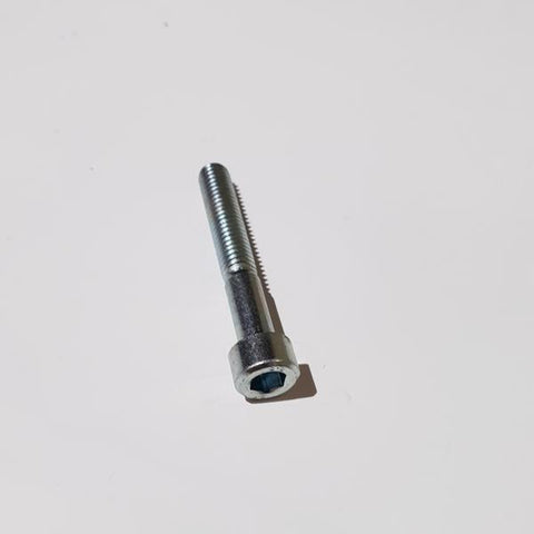 Hex. socket head cap screw M6x55/24,A2